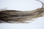 4151 Hebert Dry Fly Hackle, Bronze Grade Rooster Saddle Dun Grizzly Ties Size 14-16 4151 Hebert Dry Fly Hackle, Bronze Grade Rooster Saddle Dun Grizzly Ties Size 14-16