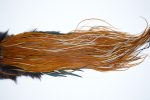 4132 Whiting Dry Fly Hackle, Gold Grade Rooster Saddle Furnace Ties Size 14-16