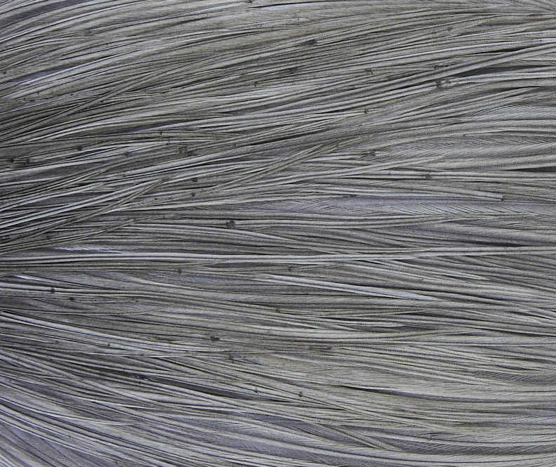 Whiting Medium Grey Dun Hackle