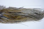 1635 Whiting Dry Fly Hackle Pro Grade Midge Saddle Grizzly Variant Ties Size 14-16 1635 Whiting Dry Fly Hackle Pro Grade Midge Saddle Grizzly Variant Ties Size 14-16