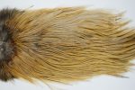 4699 Coq De Leon Dry Fly Hackle Bronze Grade Rooster Saddle Medium Ginger 4699 Coq De Leon Dry Fly Hackle Bronze Grade Rooster Saddle Medium Ginger