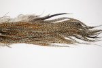 4785 Hebert Dry Fly Hackle Pro Grade Rooster Saddle Grizzly Variant Ties Size 14-16 4785 Hebert Dry Fly Hackle Pro Grade Rooster Saddle Grizzly Variant Ties Size 14-16