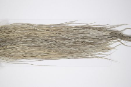 4790 Hebert Dry Fly Hackle Pro Grade Rooster Saddle Medium Grey Dun Ties Size 14-16