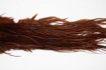 4808 Hebert Dry Fly Hackle Pro Grade Rooster Saddle Coachman Brown Ties Size 12-14 4808 Hebert Dry Fly Hackle Pro Grade Rooster Saddle Coachman Brown Ties Size 12-14