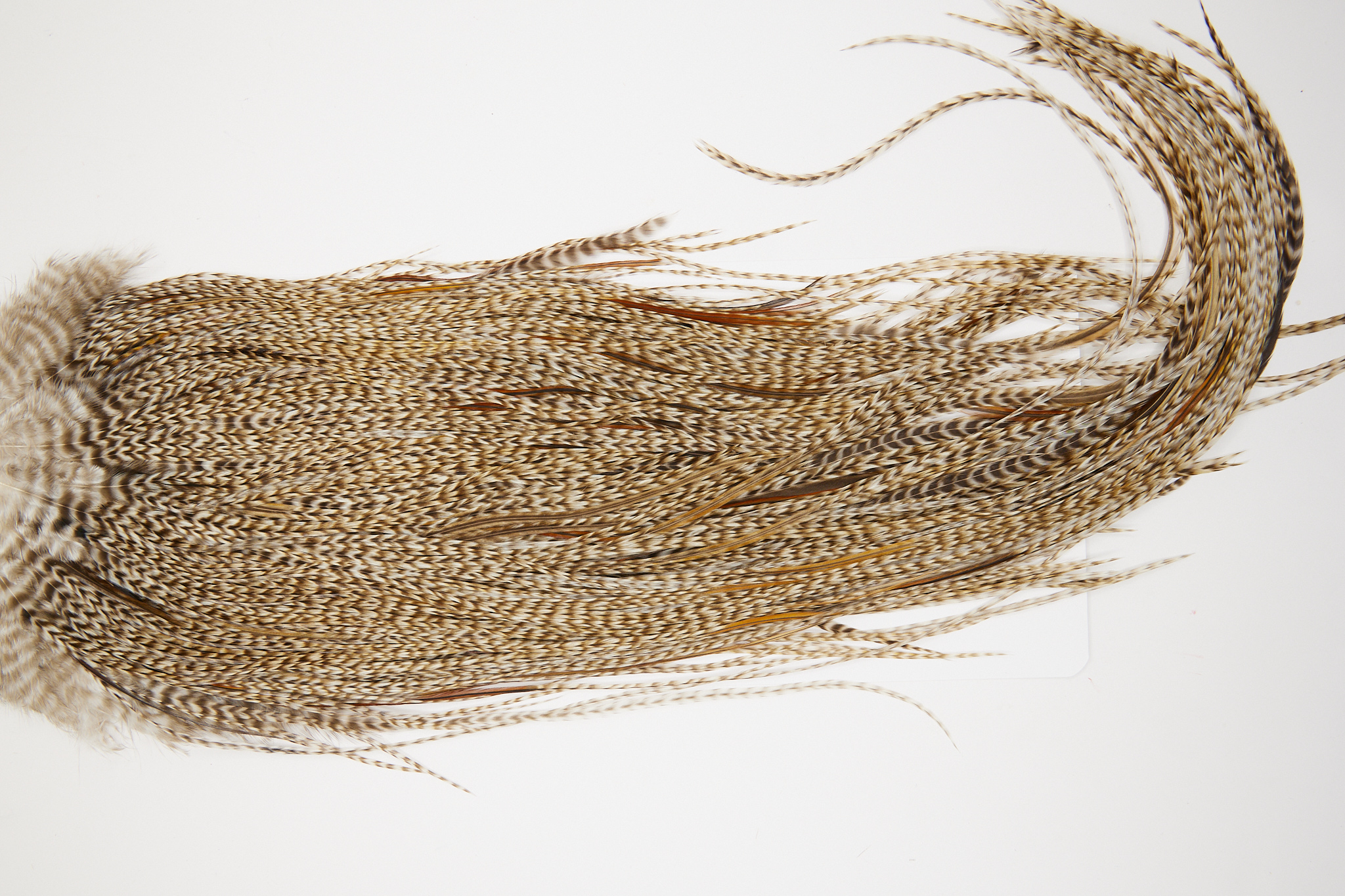 10175 Beaverkill Dry Fly Hackle Rooster Saddle Dun Grizzly Ties Size 14-16