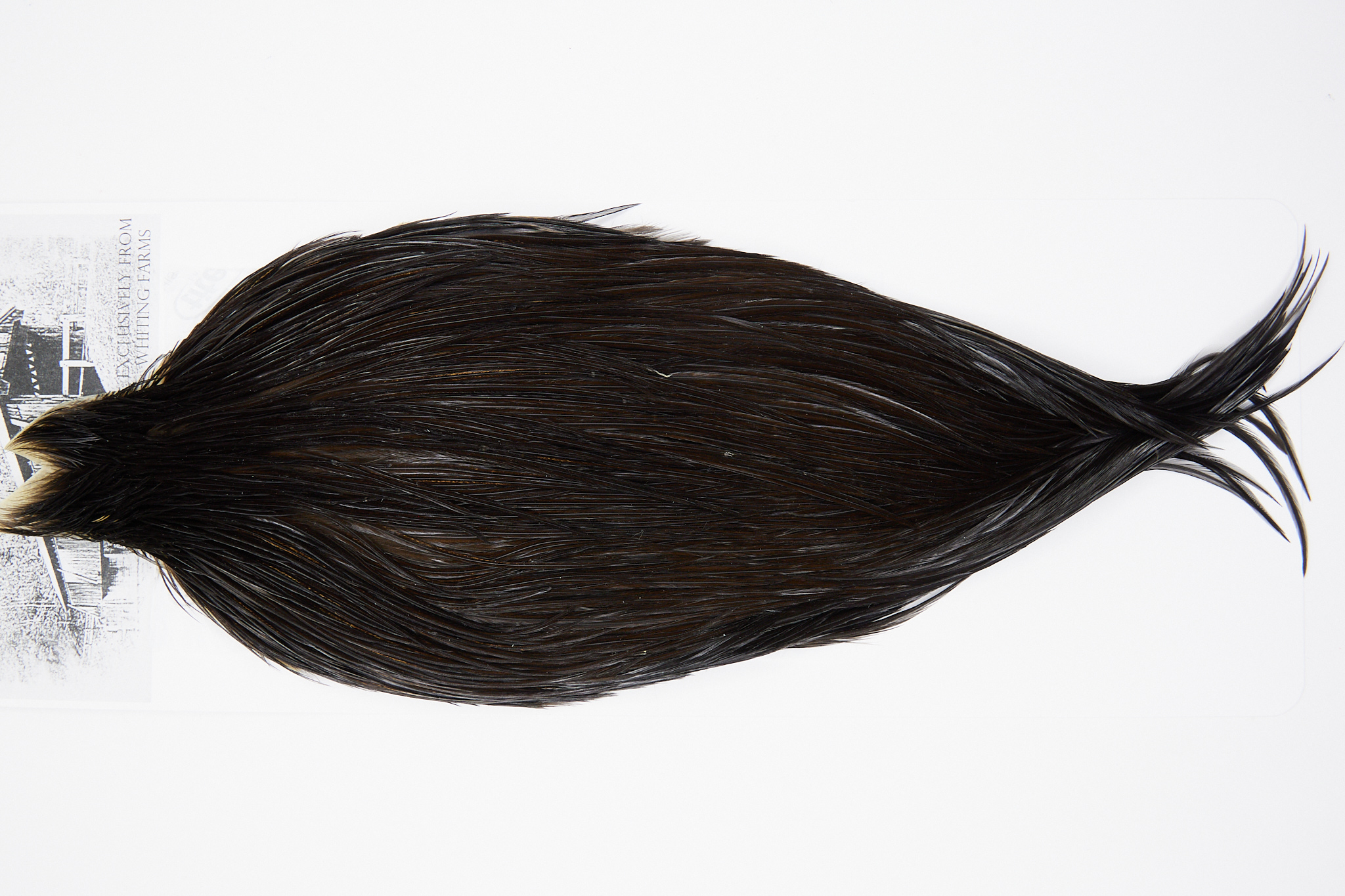 4994 Beaverkill Dry Fly Hackle Rooster Cape Dark Brown Dun Ties Size 10-18