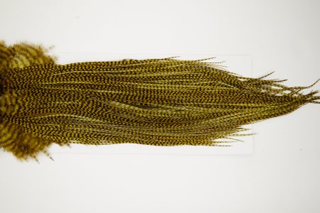 10687 Whiting Dry Fly Hackle Silver Grade Rooster Saddle Grizzly Golden Olive Ties Size 10-12