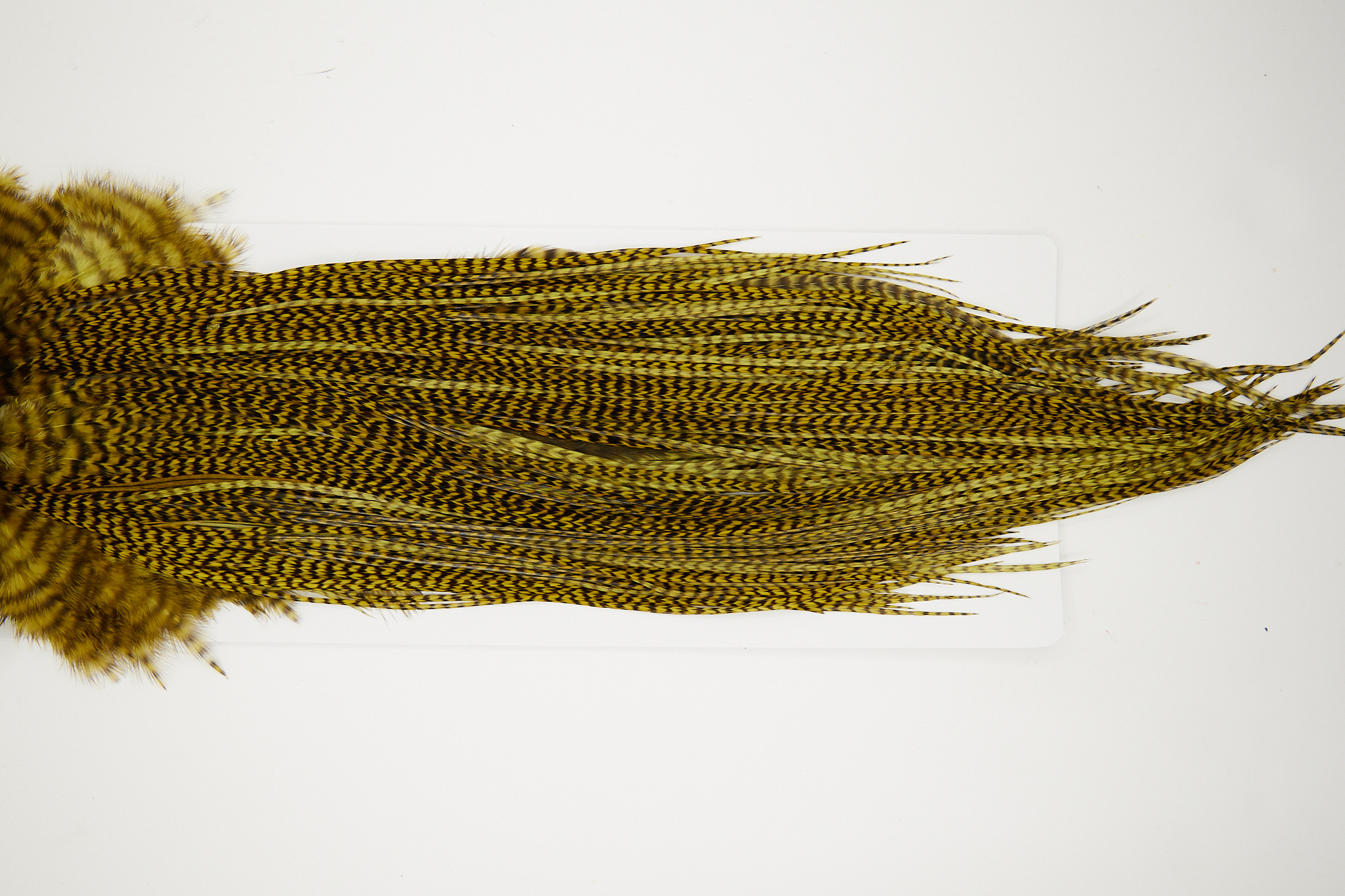 10687 Whiting Dry Fly Hackle Silver Grade Rooster Saddle Grizzly Golden Olive Ties Size 10-12