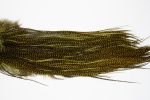 10718 Whiting Dry Fly Hackle Bronze Grade Rooster Saddle Grizzly Dark Olive Ties Size 12-14