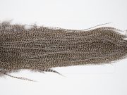 10731 Whiting Dry Fly Hackle Bronze Grade Rooster Saddle Grizzly Medium Dun Ties Size 16-18