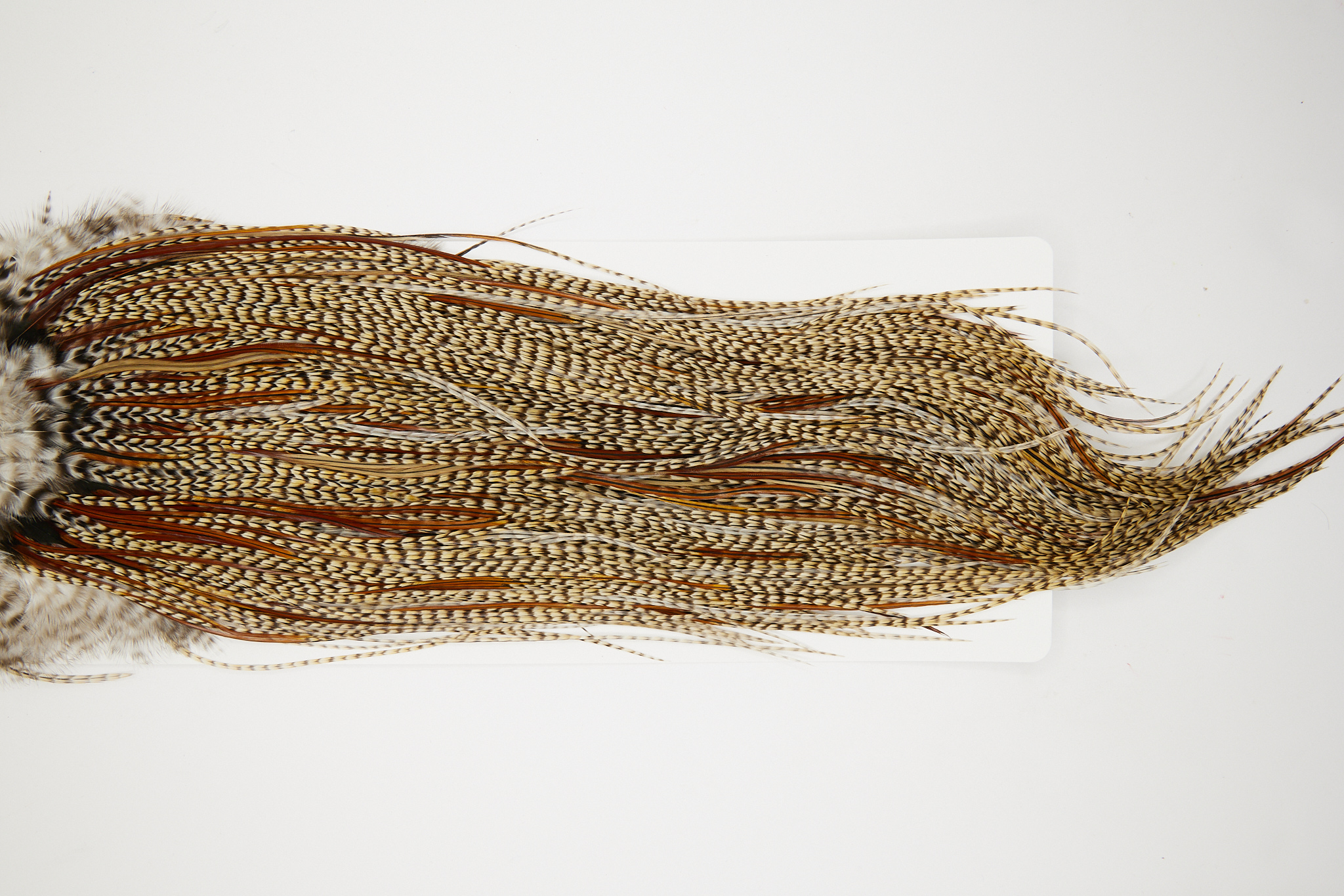 10012 Heritage Dry Fly Hackle Grade 1 Rooster Saddle Cree Ties Size 14-16