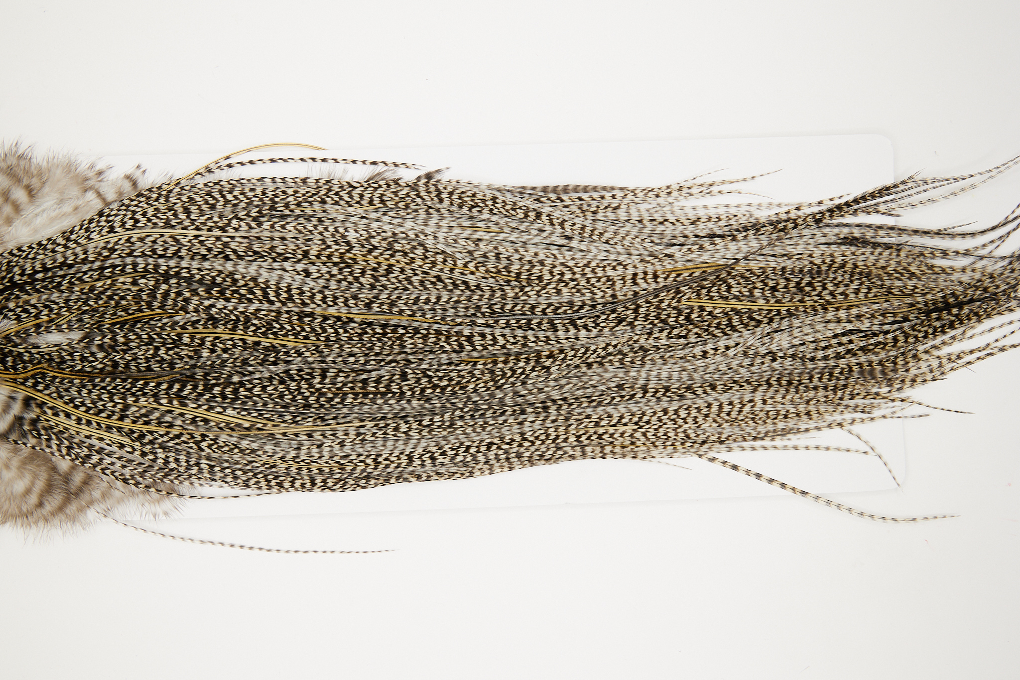 10755 Whiting Dry Fly Hackle Bronze Grade Rooster Saddle Grizzly Variant Ties Size 12-16