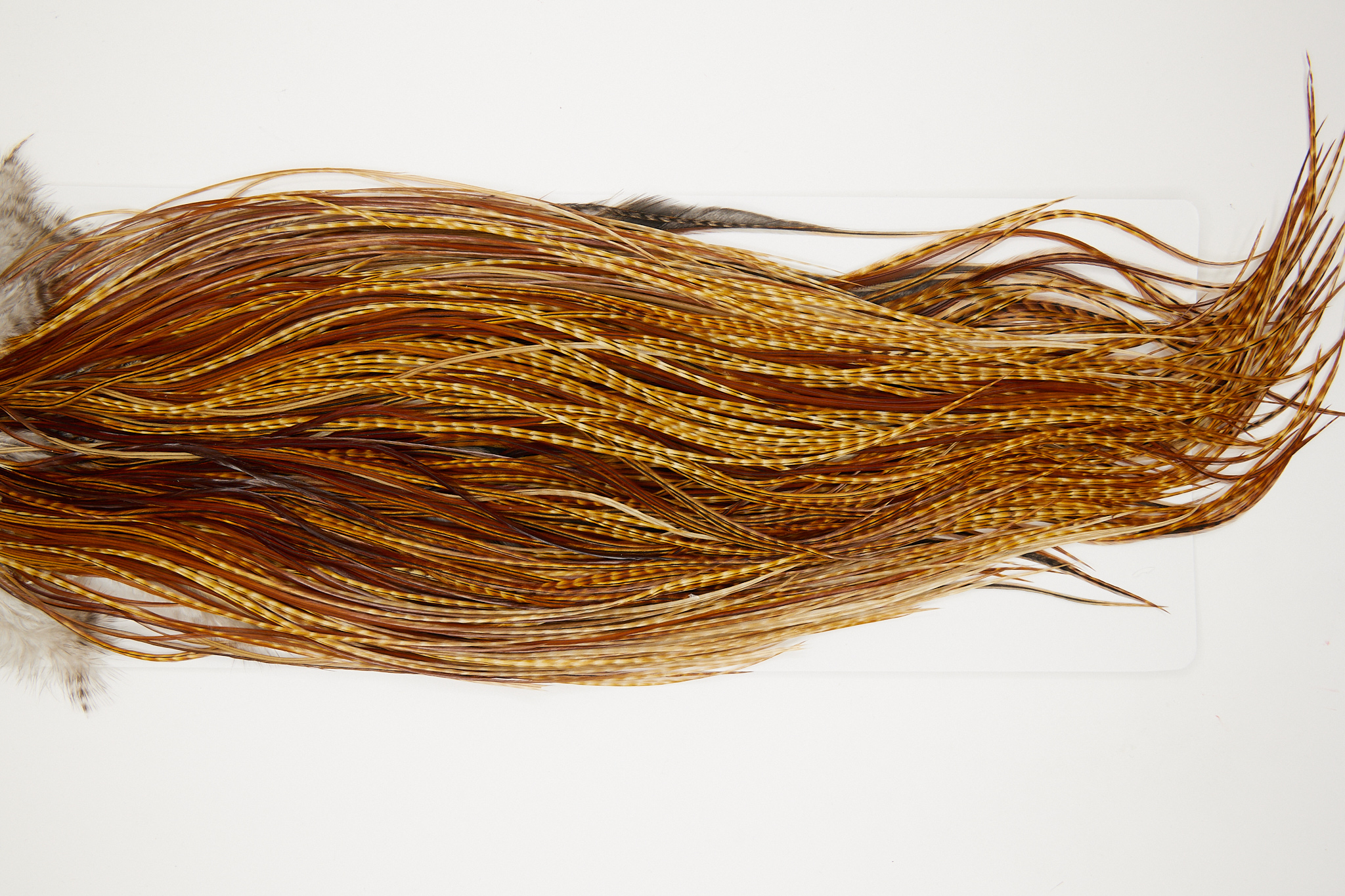 10756 Whiting Dry Fly Hackle Pro Grade Rooster Saddle Dark Barred Ginger Ties Size 16-18