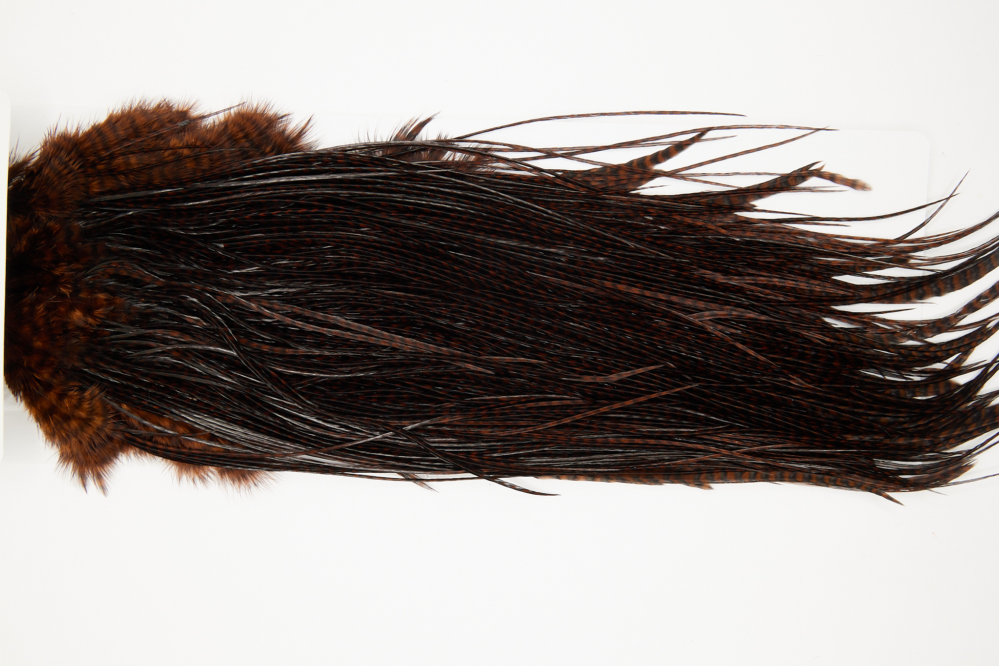 10757 Whiting Dry Fly Hackle Pro Grade Rooster Saddle Grizzly Coachman Brown Ties Size 14-16