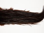10767 Whiting Dry Fly Hackle Pro Grade Rooster Saddle Grizzly Coachman Brown Ties Size 14-16
