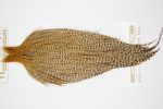 10801 Heritage Dry Fly Hackle Grade 2 Rooster Cape Dun Cree Ties Size 8-20 10801 Heritage Dry Fly Hackle Grade 2 Rooster Cape Dun Cree Ties Size 8-20