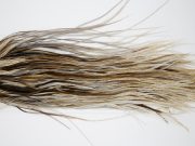 Grade 1 Rooster Saddle Variant Ties Size 10-12