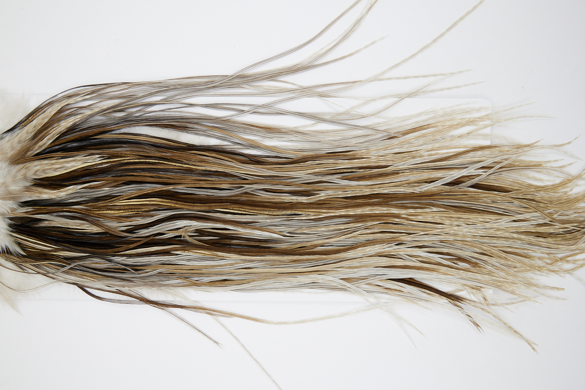 Grade 1 Rooster Saddle Variant Ties Size 10-12