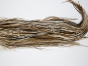 Grade 1 Rooster Saddle Variant Ties Size 10-14