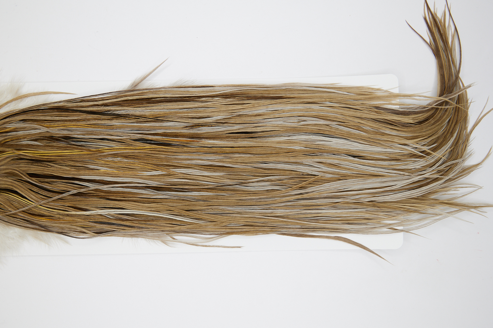 Grade 1 Rooster Saddle Heritage Dun Ties Size 10-14