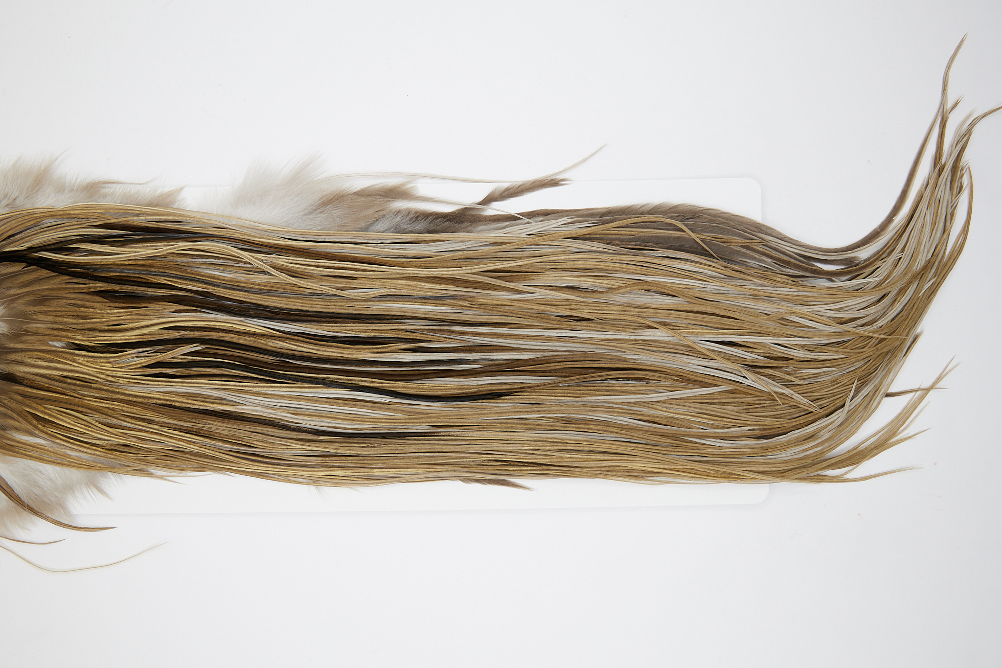 Grade 1 Rooster Saddle Heritage Dun Ties Size 12-14