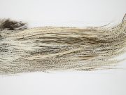 10861 Hebert Dry Fly Hackle Bronze Grade Rooster Saddle Unique Variant Ties Size 10-14