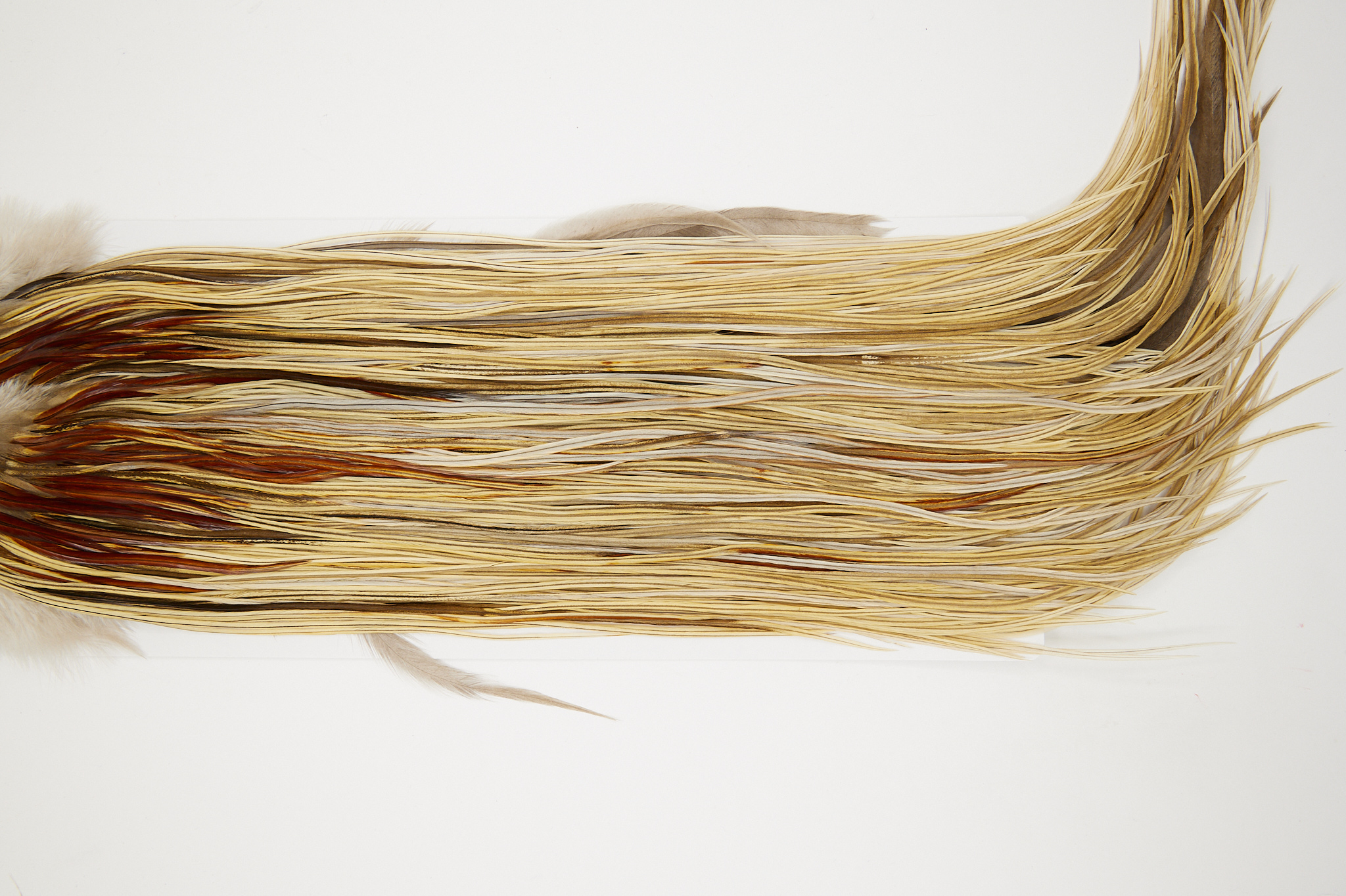 10876 Hebert Dry Fly Hackle Gold Grade Rooster Saddle Light Ginger Dun Ties Size 12-14