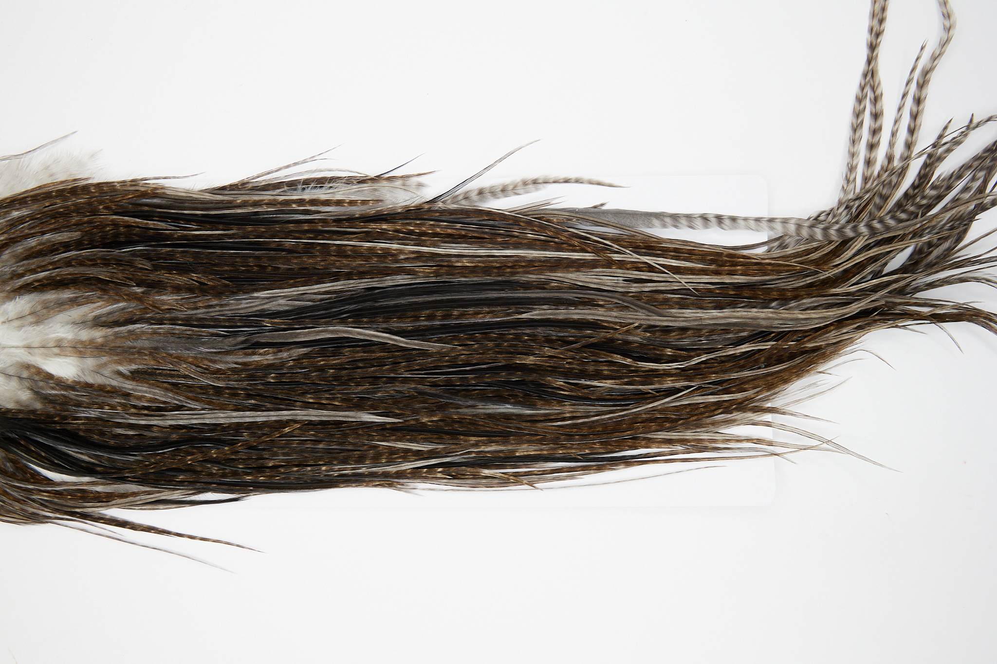 10878 Hebert Dry Fly Hackle Bronze Grade Rooster Saddle Unique Variant Ties Size 12-14