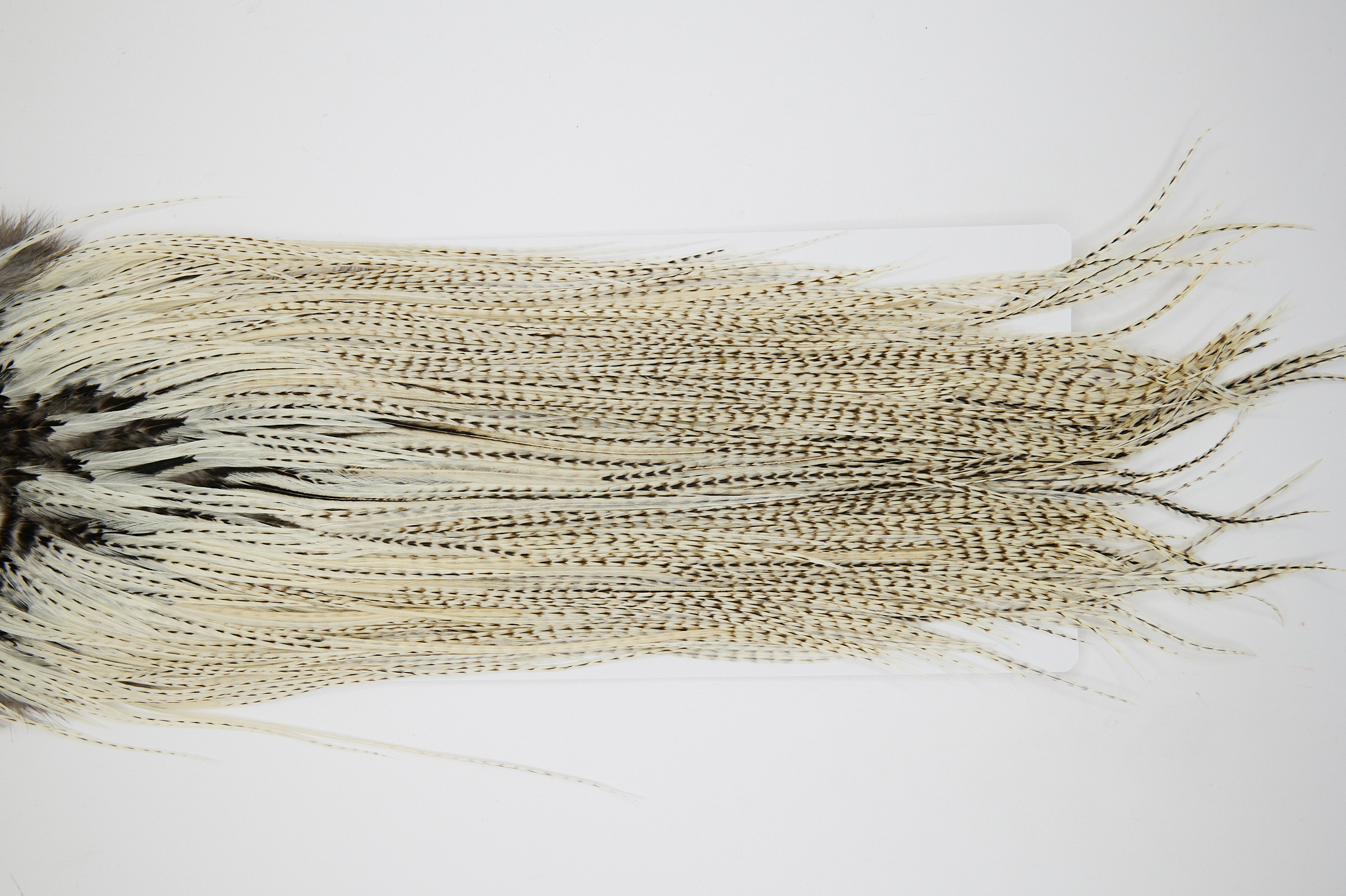 10879 Hebert Dry Fly Hackle Bronze Grade Rooster Saddle Unique Variant Ties Size 10-14