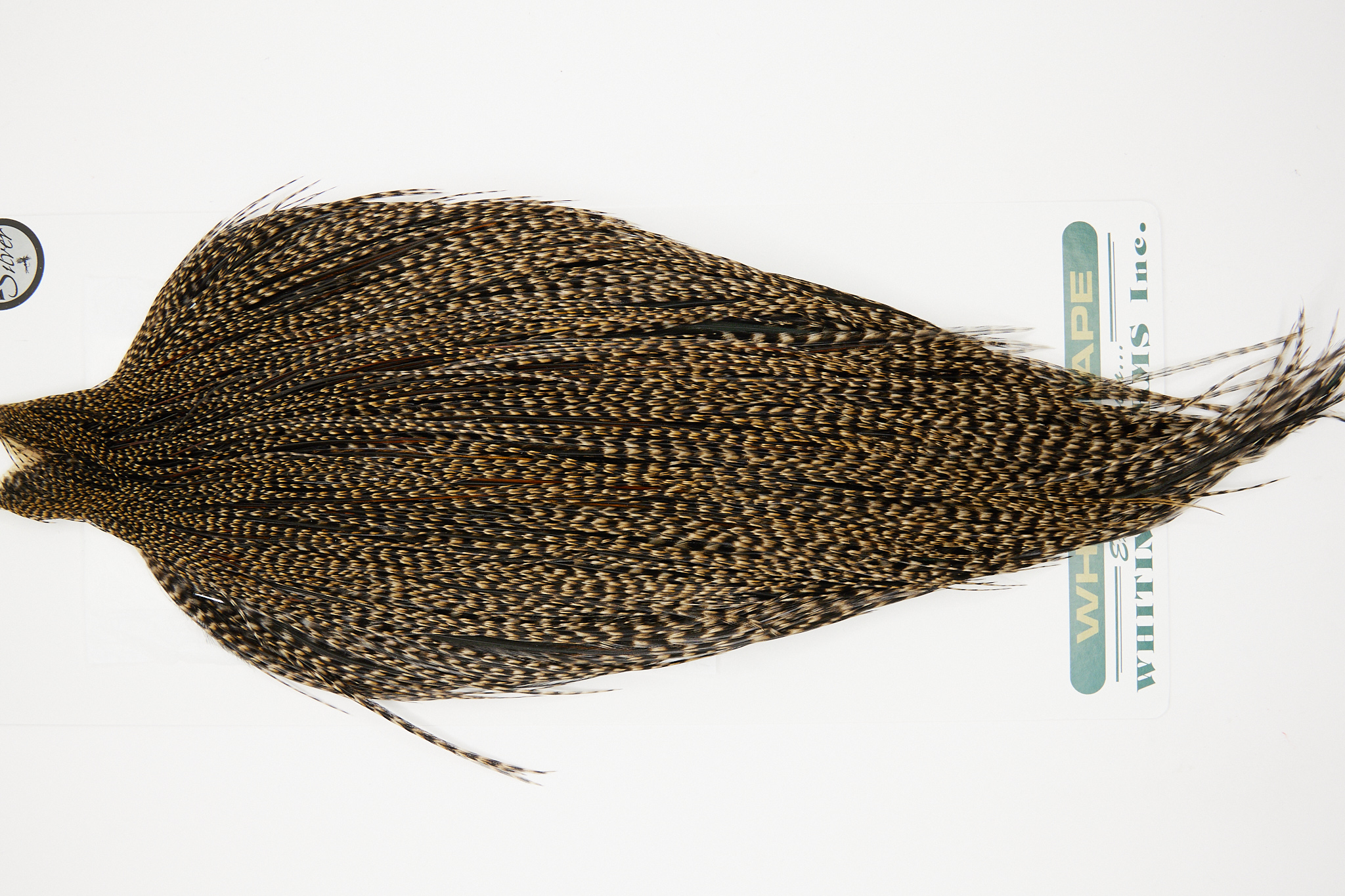 10883 Hebert Dry Fly Hackle Silver Grade Rooster Cape Grizzly Variant Ties Size 10-24