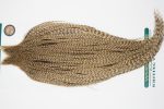 10902 Hebert Dry Fly Hackle Bronze Grade Rooster Cape Dun Grizzly Ties Size 10-22 10902 Hebert Dry Fly Hackle Bronze Grade Rooster Cape Dun Grizzly Ties Size 10-22