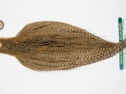 10925 Hebert Dry Fly Hackle Bronze Grade Rooster Cape Dun Grizzly Ties Size 10-22