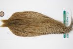 10926 Hebert Dry Fly Hackle Bronze Grade Rooster Cape Dun Grizzly Ties Size 10-24 10926 Hebert Dry Fly Hackle Bronze Grade Rooster Cape Dun Grizzly Ties Size 10-24
