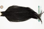 10936 Hebert Dry Fly Hackle Bronze Grade Rooster Cape Black Ties Size 10-22 10936 Hebert Dry Fly Hackle Bronze Grade Rooster Cape Black Ties Size 10-22
