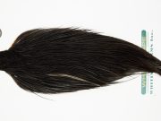 10938 Hebert Dry Fly Hackle Bronze Grade Rooster Cape Black Ties Size 10-20