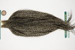 10944 Hebert Dry Fly Hackle Bronze Grade Rooster Cape Grizzly Variant Ties Size 10-22