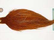 10948 Hebert Dry Fly Hackle Bronze Grade Rooster Cape Light Brown Ties Size 8-22