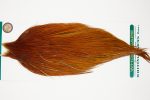 10953 Hebert Dry Fly Hackle Bronze Grade Rooster Cape Light Brown Ties Size 10-24 10953 Hebert Dry Fly Hackle Bronze Grade Rooster Cape Light Brown Ties Size 10-24