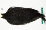 10959 Hebert Dry Fly Hackle Pro Grade Rooster Cape Black Ties Size 10-22 10959 Hebert Dry Fly Hackle Pro Grade Rooster Cape Black Ties Size 10-22