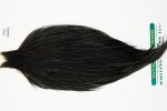 10960 Hebert Dry Fly Hackle Pro Grade Rooster Cape Black Ties Size 8-20 10960 Hebert Dry Fly Hackle Pro Grade Rooster Cape Black Ties Size 8-20