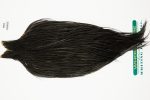 10964 Hebert Dry Fly Hackle Pro Grade Rooster Cape Black Ties Size 8-22 10964 Hebert Dry Fly Hackle Pro Grade Rooster Cape Black Ties Size 8-22