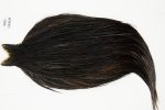 10968 Hebert Dry Fly Hackle Pro Grade Rooster Cape Black Ties Size 10-20 10968 Hebert Dry Fly Hackle Pro Grade Rooster Cape Black Ties Size 10-20