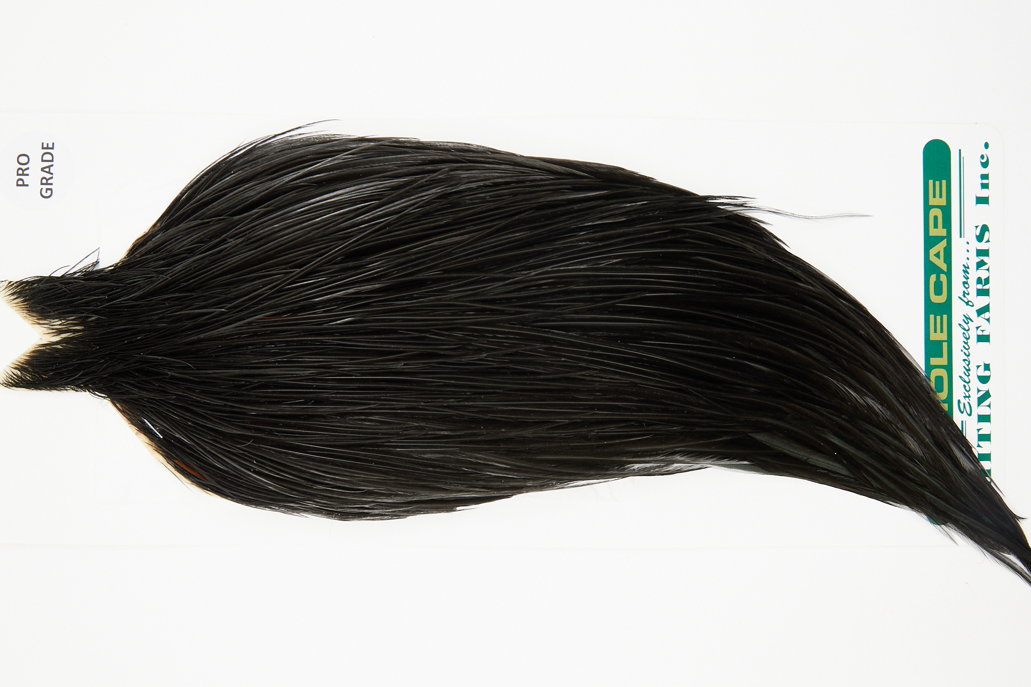 10970 Hebert Dry Fly Hackle Pro Grade Rooster Cape Black Ties Size 8-20