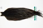 10972 Hebert Dry Fly Hackle Pro Grade Rooster Cape Black Ties Size 10-22 10972 Hebert Dry Fly Hackle Pro Grade Rooster Cape Black Ties Size 10-22