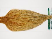 10977 Hebert Dry Fly Hackle Pro Grade Rooster Cape Medium Barred Ginger Ties Size 8-20