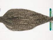 11003 Hebert Dry Fly Hackle Pro Grade Rooster Saddle Grizzly Variant Ties Size 10-20