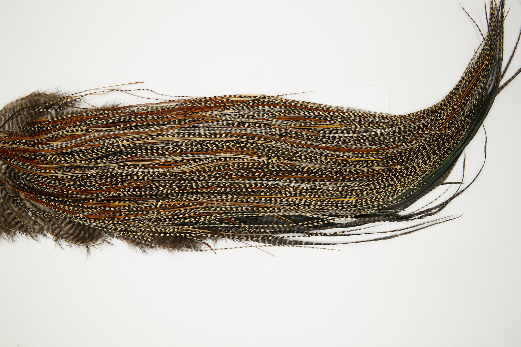 11046 JimsFlyCo Dry Fly Hackle Rhodium+ Rooster Saddle Cree Variant Ties Size 18-22