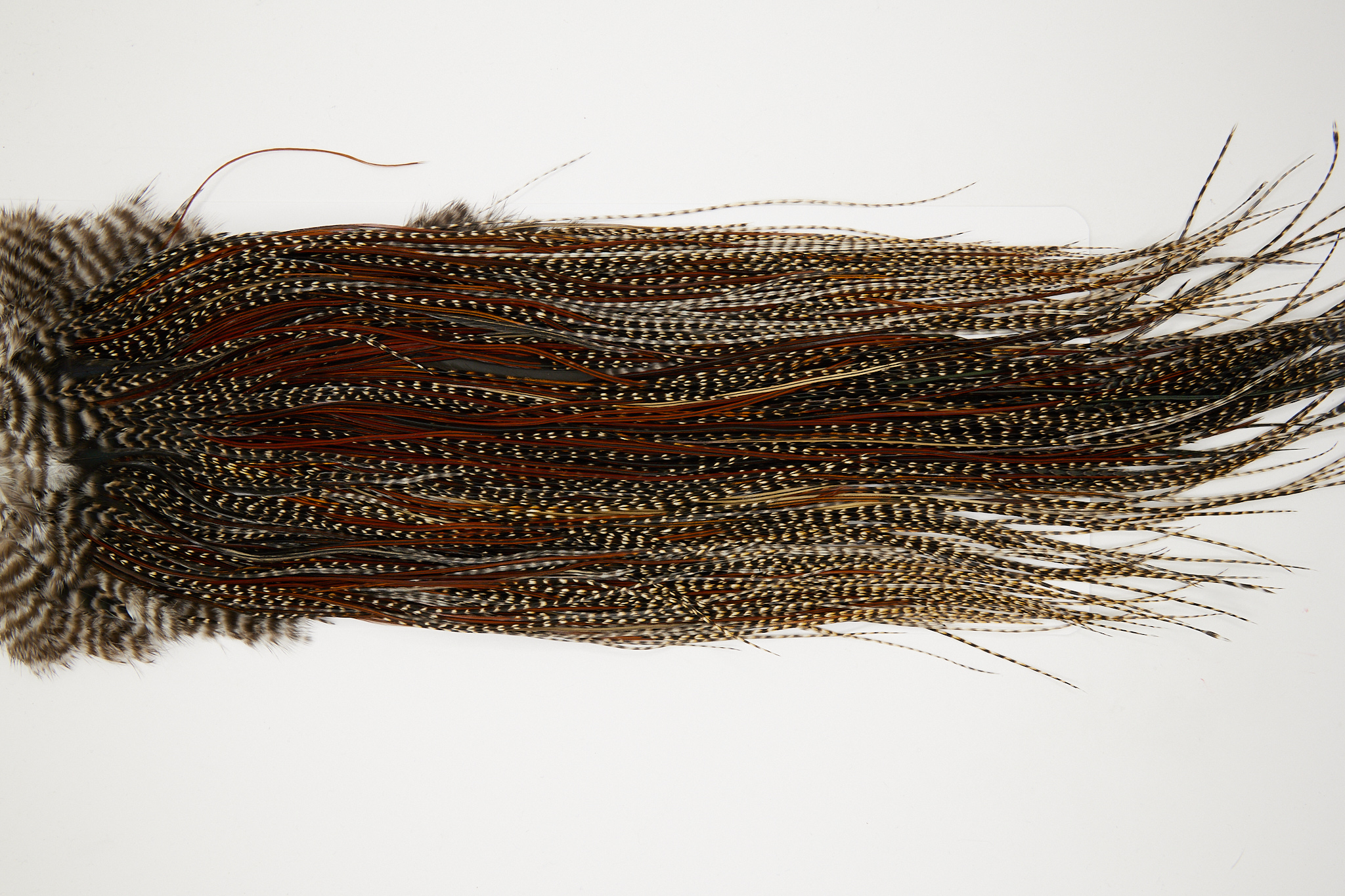 11052 JimsFlyCo Dry Fly Hackle Grade 1 Rooster Saddle Cree Variant Ties Size 16-18