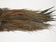 11053 JimsFlyCo Dry Fly Hackle Grade 1 Rooster Saddle Cree Variant Ties Size 16-18