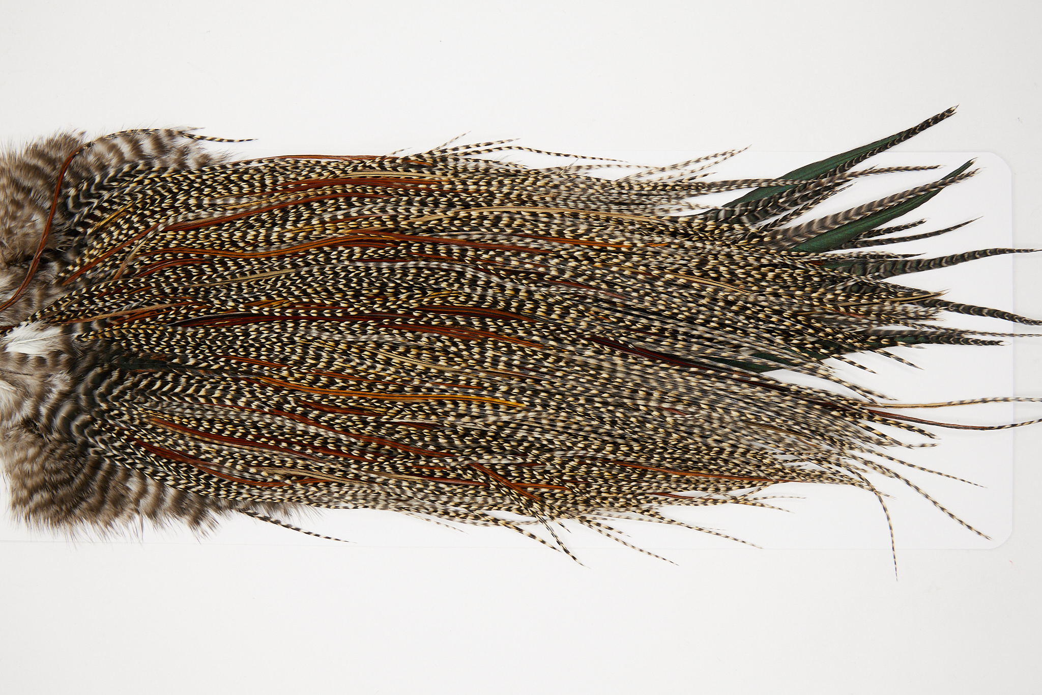 11053 JimsFlyCo Dry Fly Hackle Grade 1 Rooster Saddle Cree Variant Ties Size 16-18